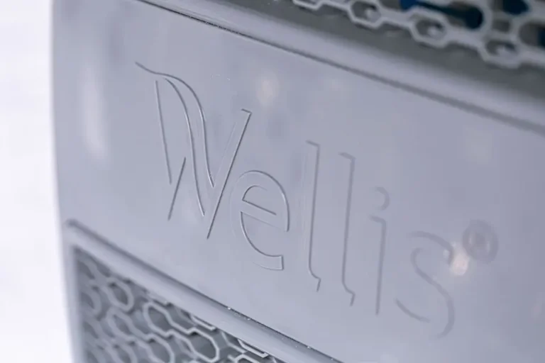Wellis Hot Tub Logo