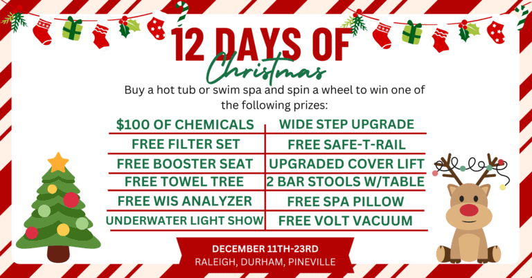 12 Days of Christmas